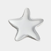 tava-decorativa-pentru-bijuterii-seastar