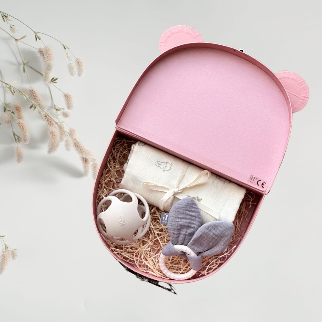 Set cadou Tiny Wonders pentru bebeluși în valiză decorativă - Jollein