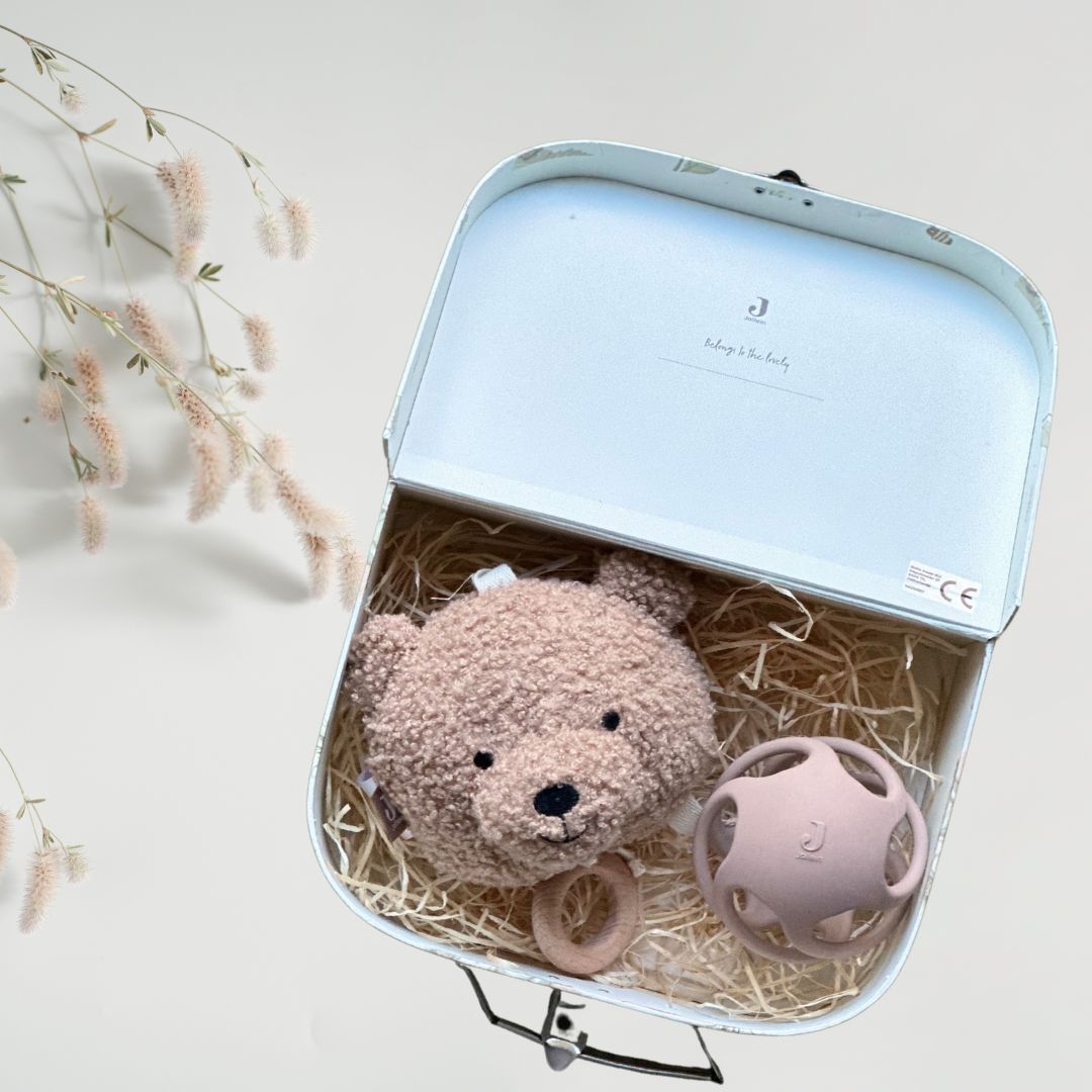 Set cadou pentru bebelusi in valiza decorativa - Dreamland - Jollein
