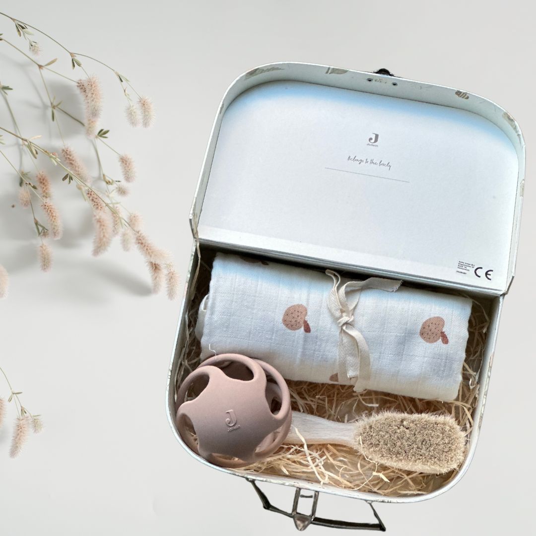 Set cadou pentru bebelusi in valiza decorativa - Sweet Beginnings - Jollein