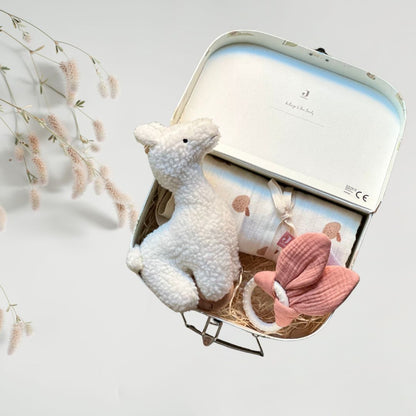 Set cadou pentru bebelusi in valiza decorativa - Farm - Jollein