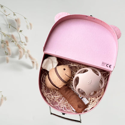 Set cadou Tiny Bee pentru bebeluși în valiză decorativă - Jollein