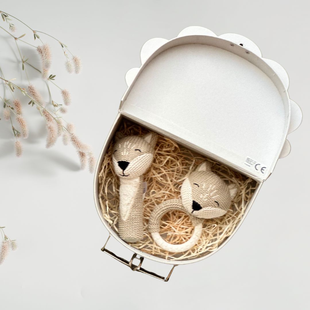 Set cadou Foxy Dream pentru bebeluși în valiză decorativă - Jollein