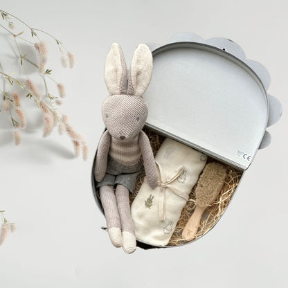 Set cadou pentru bebelusi in valiza decorativa - Bunny Joey - Jollein