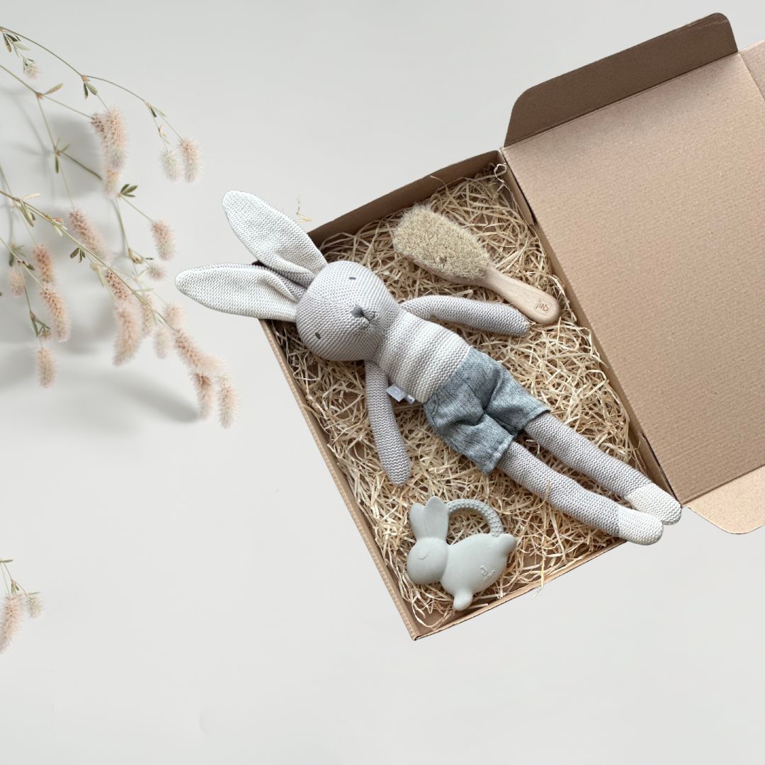 Cutie cadou Soft Hopper pentru nou-născuți - Jollein