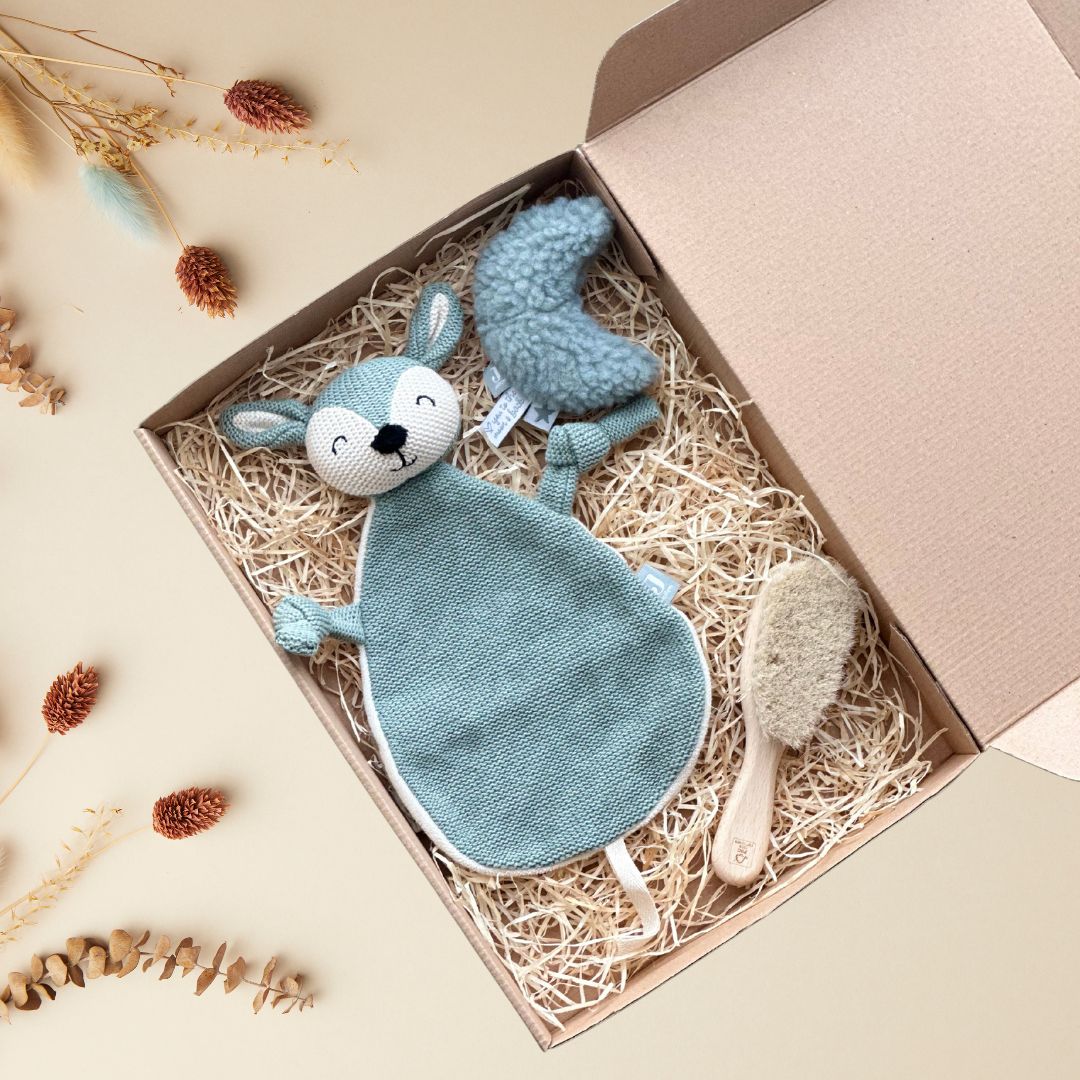 cutie cadou Dear Dream pentru bebeluși de la Jollein