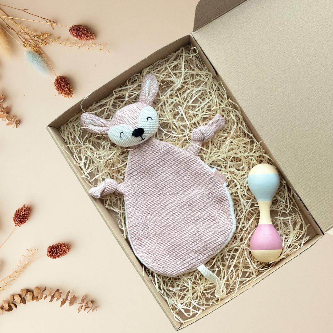 Cutie cadou Bambi Beams pentru nou-născuți de la Jollein