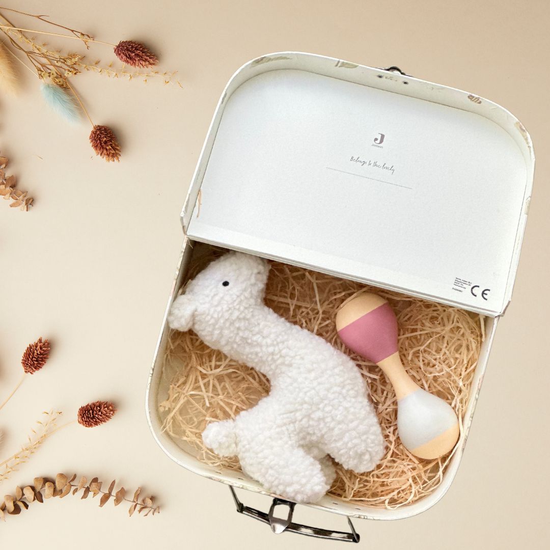 Set cadou pentru bebeluși Llama Blessings în valiză decorativă de la Jollein