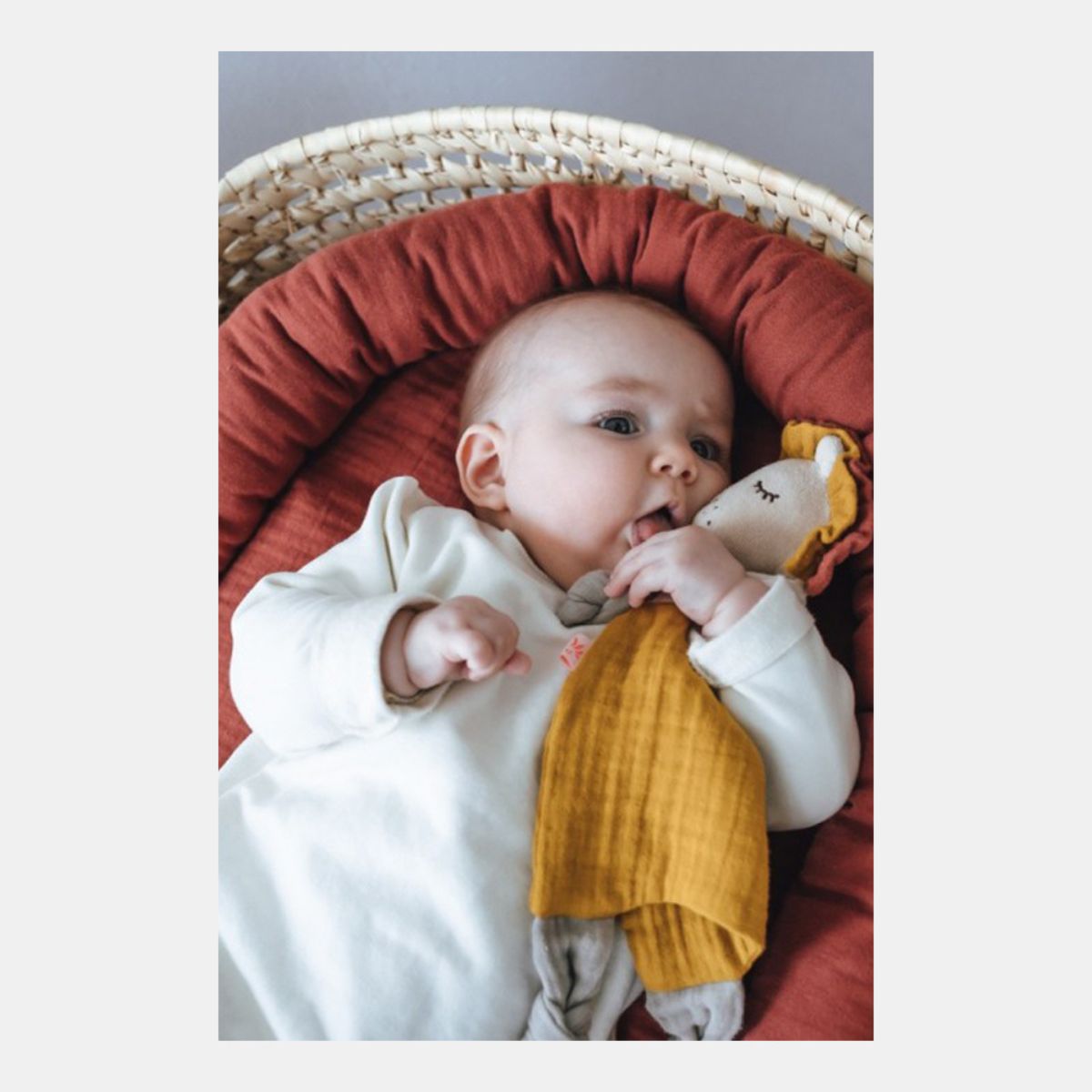 9911706-4260639810708-aparatoare-laterala-bumbac-organic-rust-kikadu