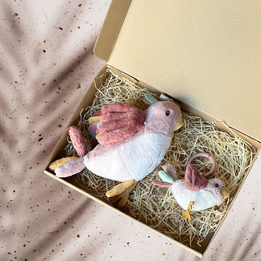 Cutie cadou pentru bebelusi - Birdie Blessing - Little Dutch