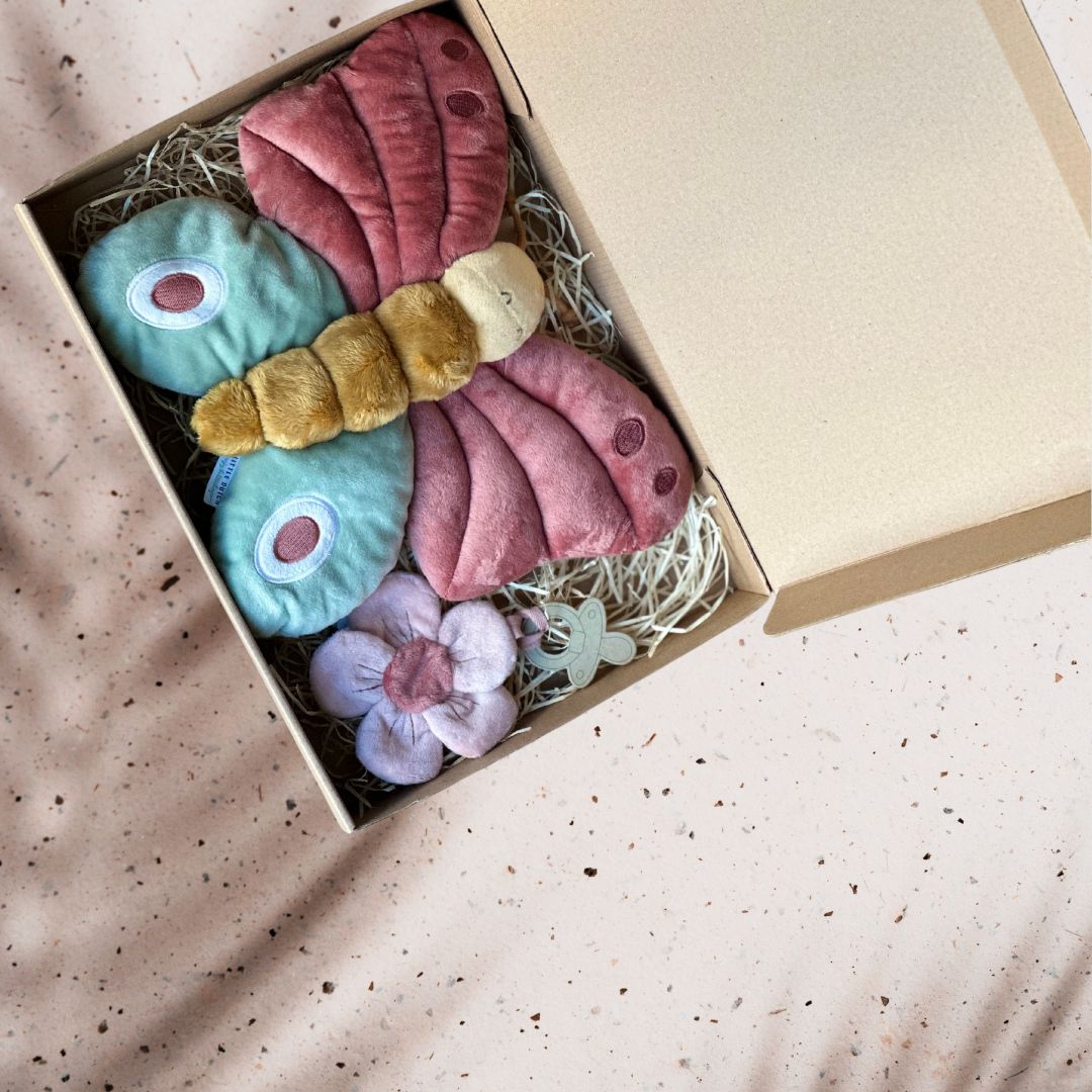 Cutie cadou pentru bebelusi - Butterfly Whispers - Little Dutch
