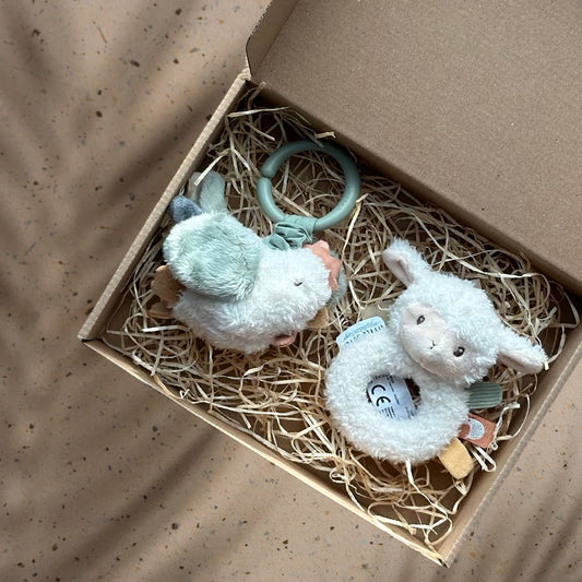 Cutie cadou pentru bebelusi - Sheepish Joy Little Dutch