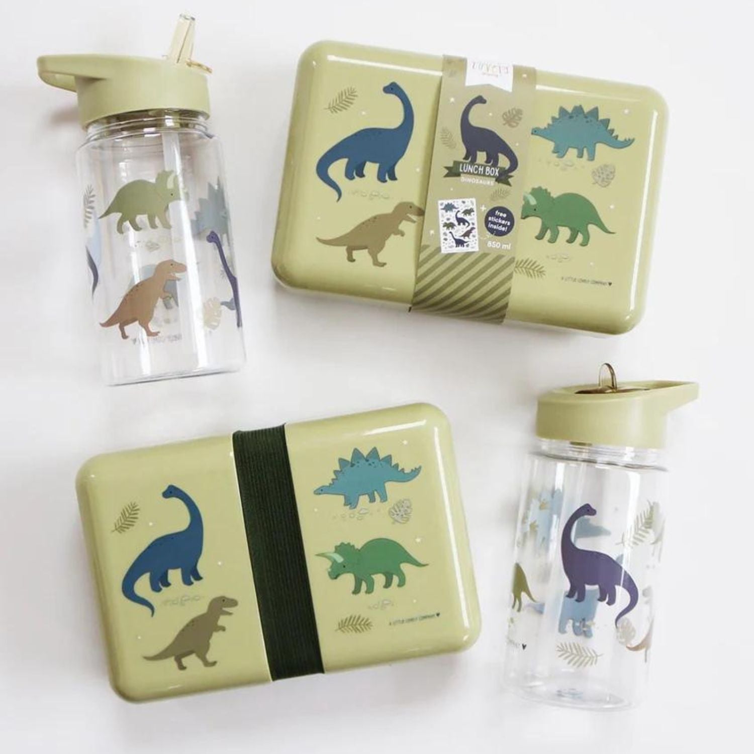 DBDIGR33-8719715000978-Sticla-de-Apa-cu-Pai-din-Tritan-Dino