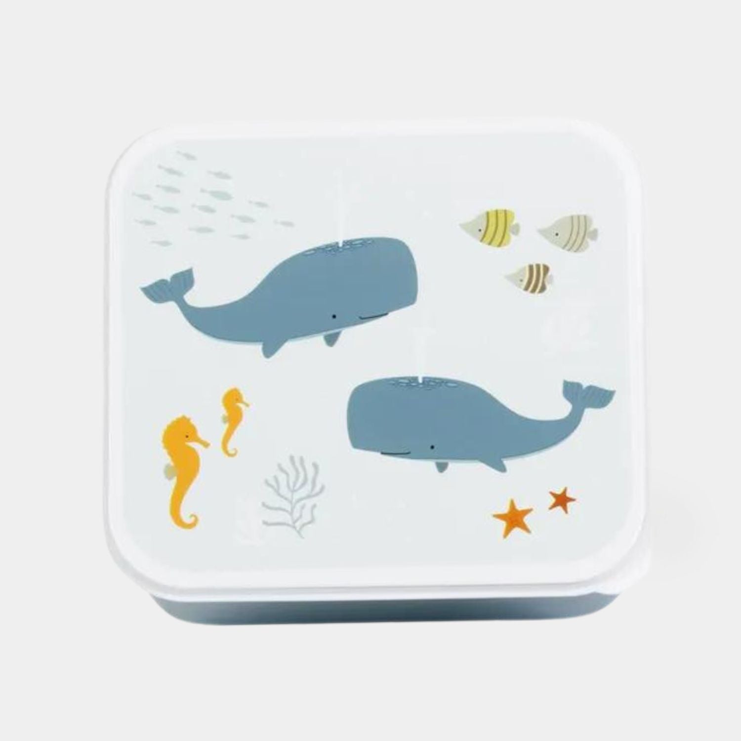 SBSEOC39-1-caserola-pentru-pranz-ocean-a-little-lovely-company