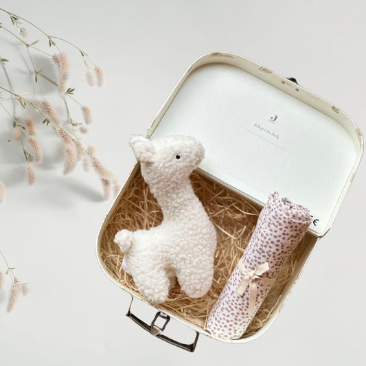 Set cadou pentru bebelusi in valiza decorativa - Cherish- Jollein