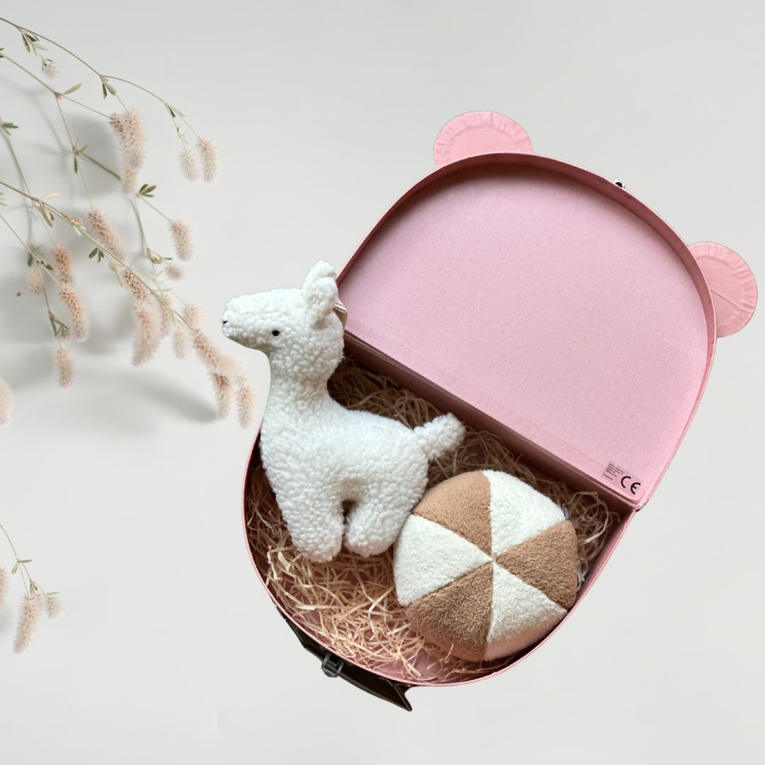 Valiză Decorativă Set Cadou Odyssey Jollein pentru Bebeluși