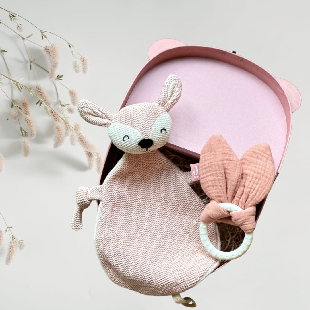 Set cadou pentru bebelusi in valiza decorativa - Petite Joy - Jollein