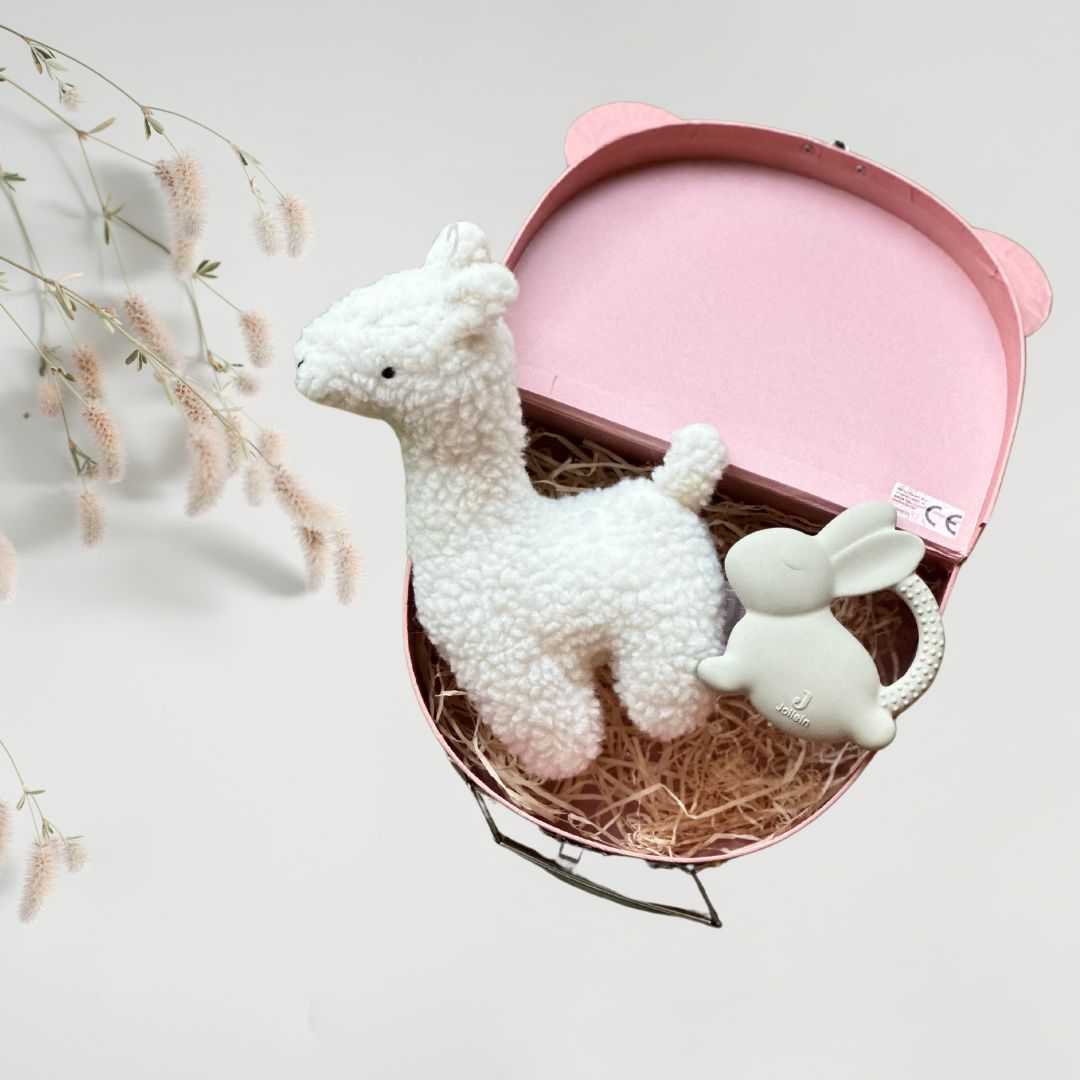Set cadou pentru bebelusi in valiza decorativa - Pink Lama - Jollein