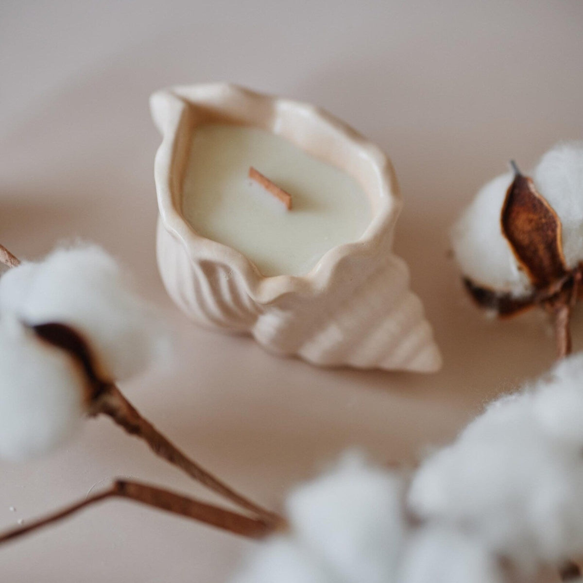 lumanare-parfumata-in-cochilie-sea-shell