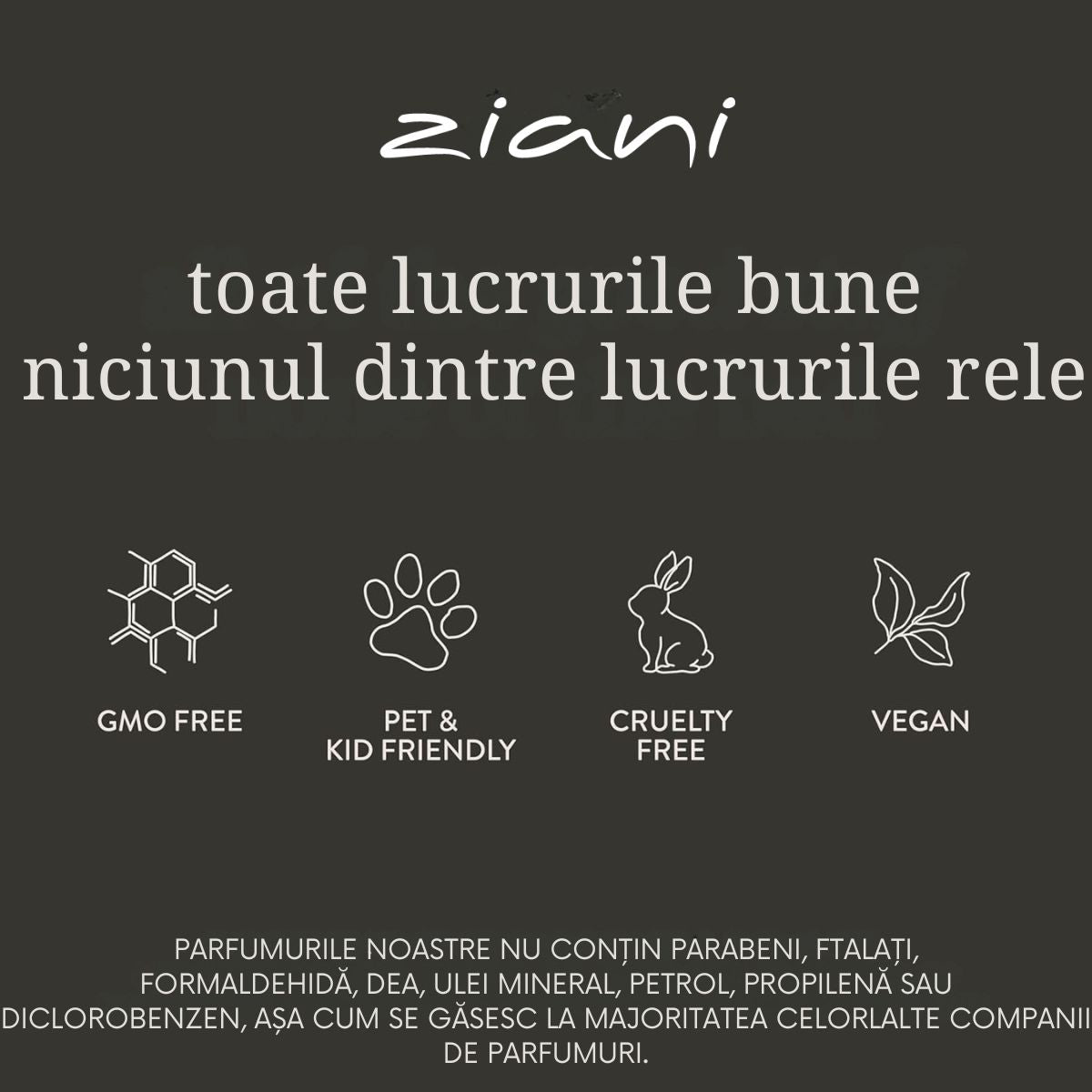 odorizant-auto-parfum-frantuzesc-capac-lemn-8-ml-2