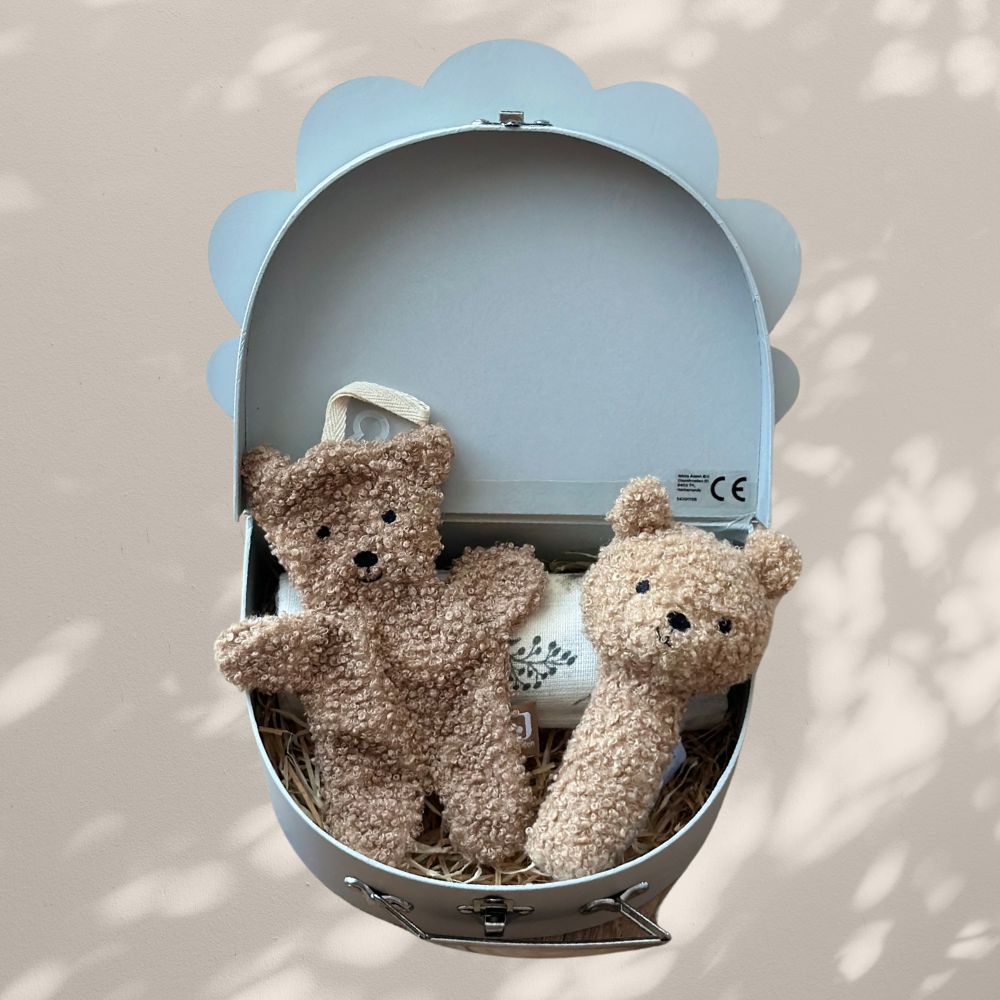 set-cadou-pentru-bebelusi-in-valiza-decorativa-baby-bear-jollein