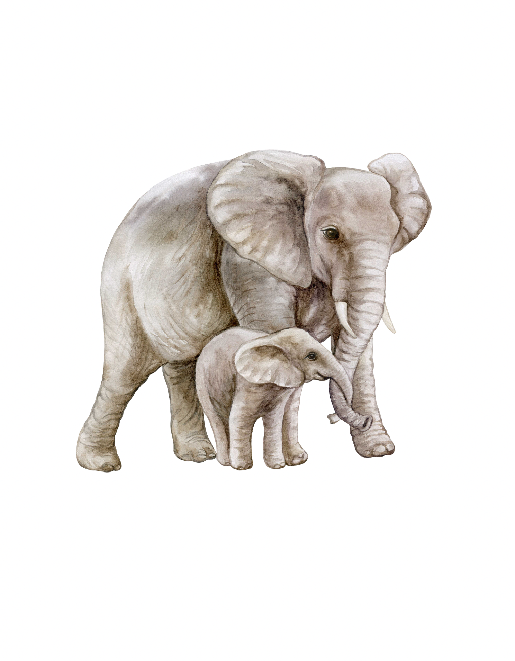 Tablou Mama Elefant Si Puiul