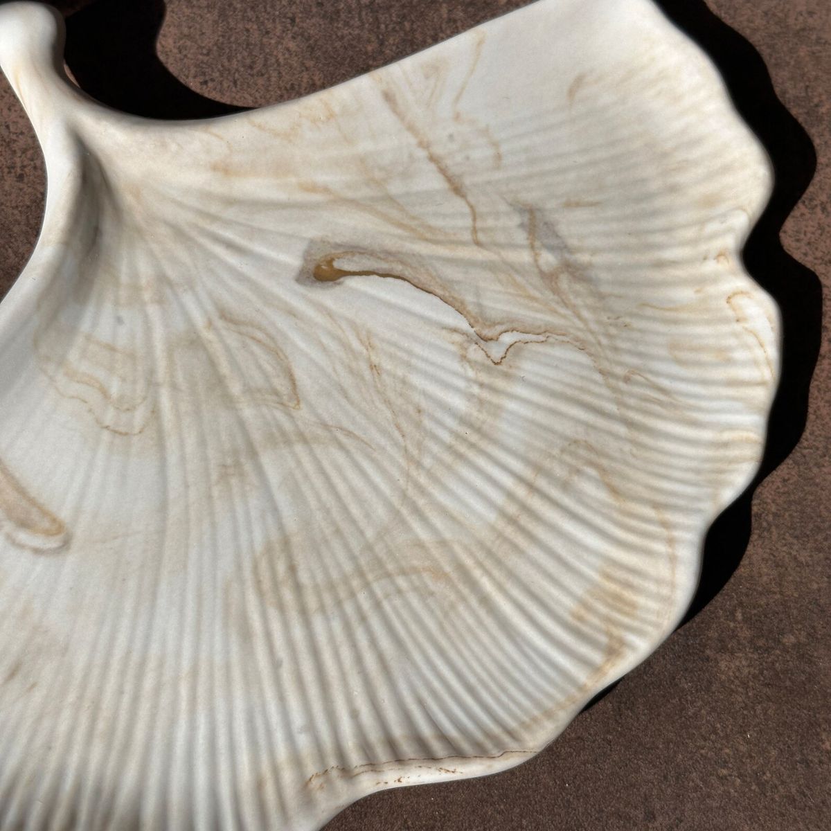 tava-decorativa-din-ceramica-ginkgo